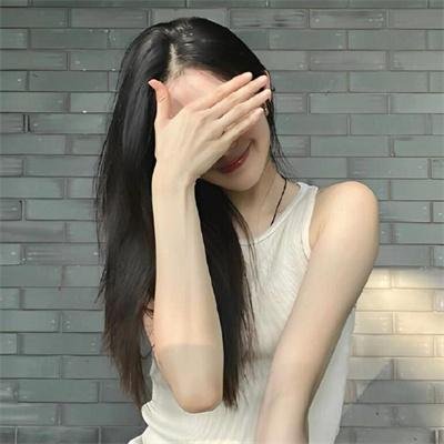 公牛